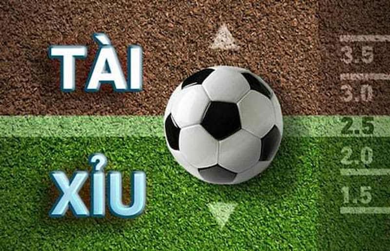 Nhồi tài là phương pháp được áp dụng nhiều hiện nay Cach-choi-tai-xiu-bong-da